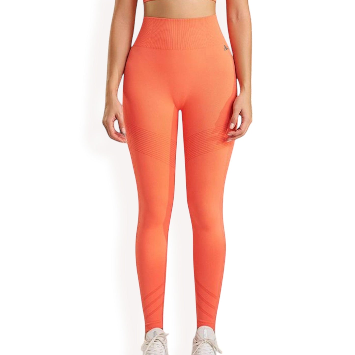 Women's High Waist Seamless Leggings with Full-Length Compression Fit