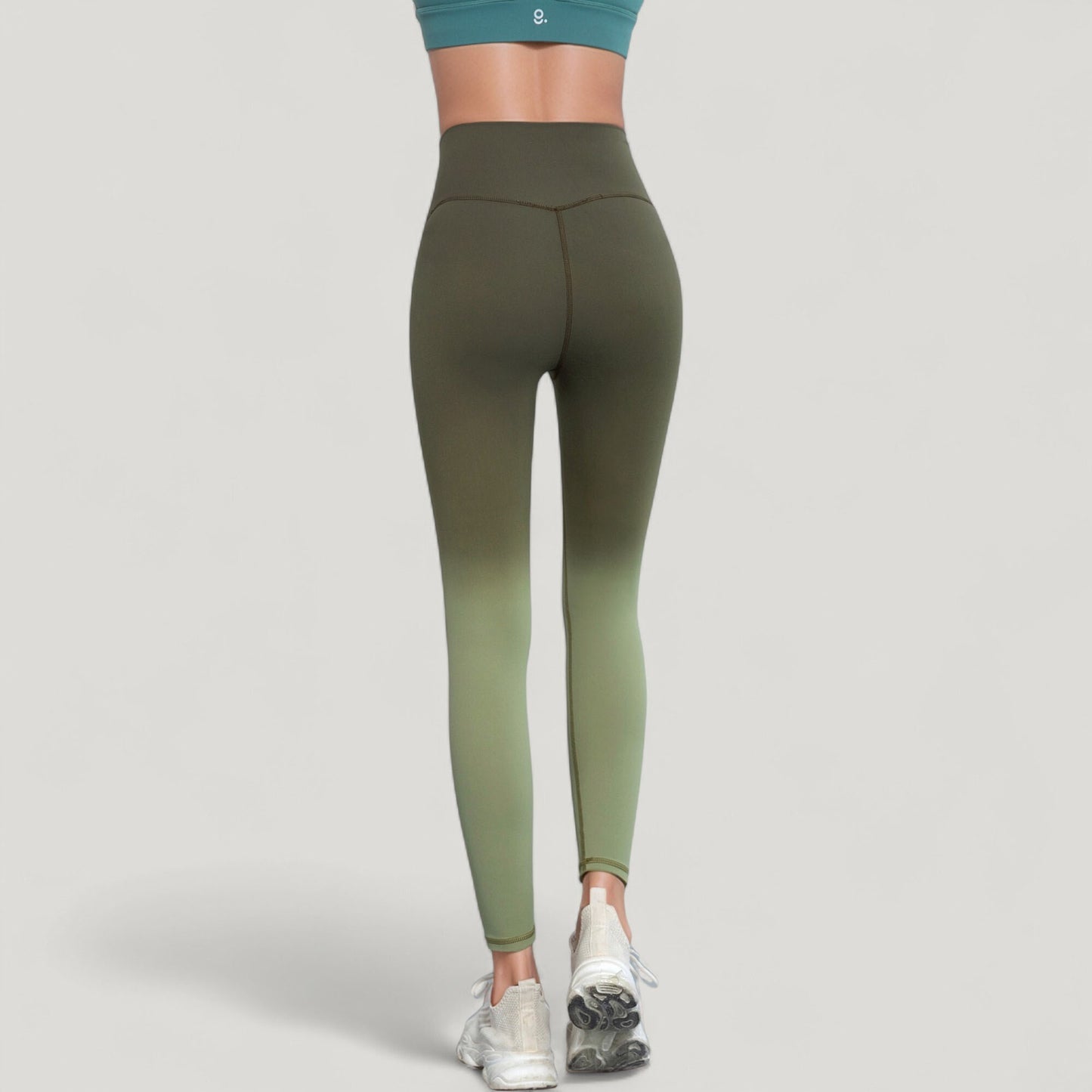 High Waist Ombre Gradient Seamless Leggings with Wide Waistband