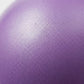 2-PC Mini Exercise Ball for Pilates Yoga Core Stability Training